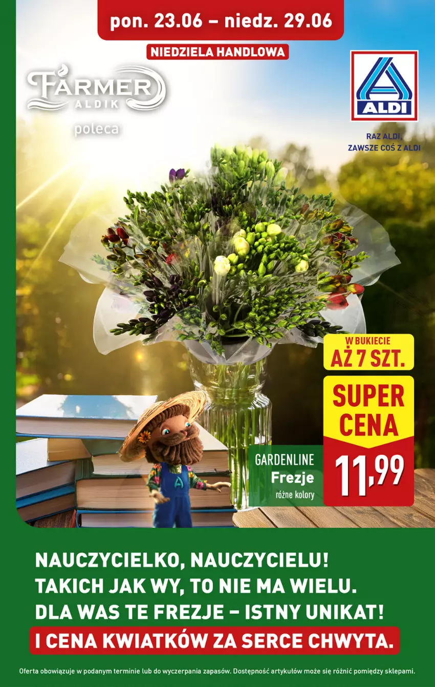Gazetka promocyjna Aldi - Pełna oferta - ważna 23.06 do 29.06.2025 - strona 39 - produkty: Ser