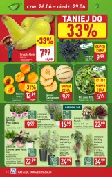 Gazetka promocyjna Aldi - Pełna oferta - Gazetka - ważna od 29.06 do 29.06.2025 - strona 28 - produkty: Sok, Hibiskus, Jeżyny, Tera, Dron, Sałat, Gruszki, Melon, Miecz