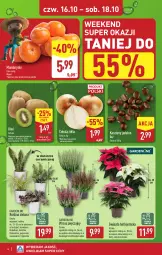 Gazetka promocyjna Aldi - Oferta weekendowa - Gazetka - ważna od 18.10 do 18.10.2025 - strona 4 - produkty: Mandarynki, Cebula, Sok, Kiwi, Gwiazda, Dron