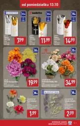 Gazetka promocyjna Aldi - Oferta weekendowa - Gazetka - ważna od 18.10 do 18.10.2025 - strona 9 - produkty: Sok, Róża, Chryzantema, Bukiet