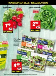Gazetka promocyjna Delikatesy Centrum - Franczyza DC22 Poniedziałek - Gazetka - ważna od 01.06 do 01.06.2025 - strona 13 - produkty: Sałat, Grill, Rzodkiewka