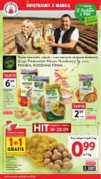 Gazetka promocyjna Intermarche - Gazetka Intermarche - Gazetka - ważna od 24.09 do 24.09.2025 - strona 18 - produkty: Piec, Cebula, Gra, Ziemniaki, Sałat