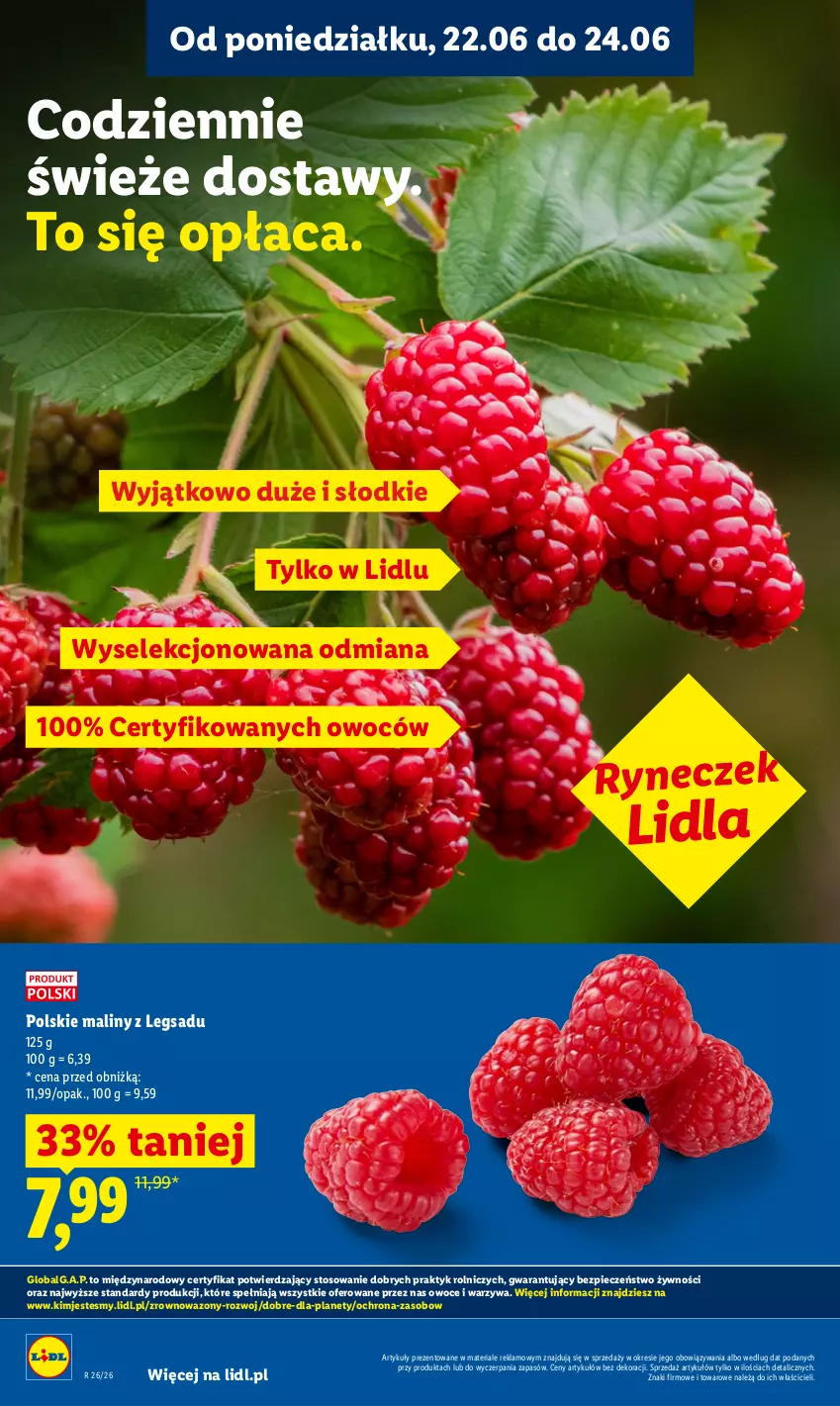 Gazetka promocyjna Lidl - Gazetka ważna od 22.06 do 24.06 - ważna 22.06 do 24.06.2026 - strona 36 - produkty: LG, Maliny, Owoce, Piec, Warzywa, Wazon