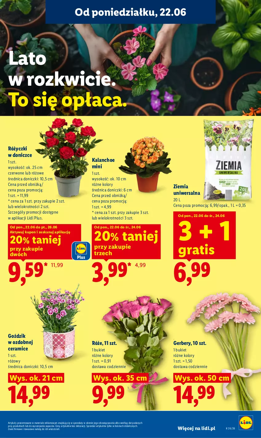 Gazetka promocyjna Lidl - Gazetka ważna od 22.06 do 24.06 - ważna 22.06 do 24.06.2026 - strona 87 - produkty: Bukiet, Gerber, Gra, Kalanchoe, Sok