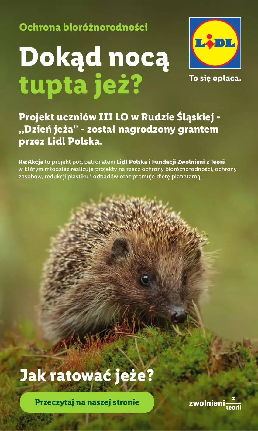 Gazetka promocyjna Lidl - Gazetka ważna od 22.06 do 24.06 - ważna 22.06 do 24.06.2026 - strona 99 - produkty: Gra