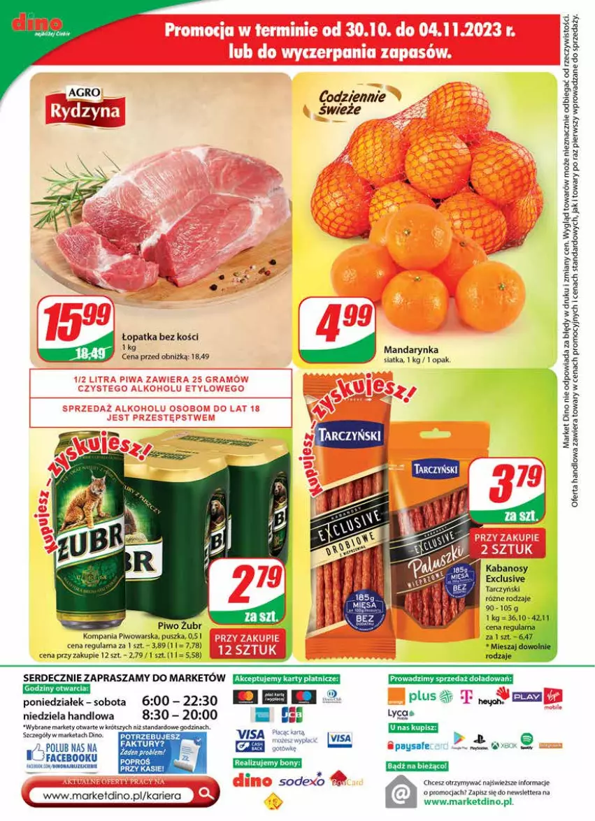 Gazetka promocyjna Dino - Gazetka 44 - ważna 02.11 do 07.11.2023 - strona 24 - produkty: BIC, Fa, Kabanos, Piwo, Ser, Siatka, Tarczyński, Tera