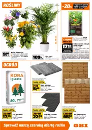 Gazetka promocyjna Obi - Gazetka OBI - Gazetka - ważna od 28.07 do 28.07.2026 - strona 15 - produkty: Podłoże do roślin, Top, Kosiarka spalinowa z napędem, Kosz, Tran, Palma, Tarcza tnąca, Płyta, Ogród, Kosiarka
