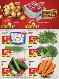 Gazetka promocyjna Delikatesy Centrum - Franczyza DC30 Czwartek - Gazetka - ważna od 30.07 do 30.07.2025 - strona 15 - produkty: Piec, Natka pietruszki