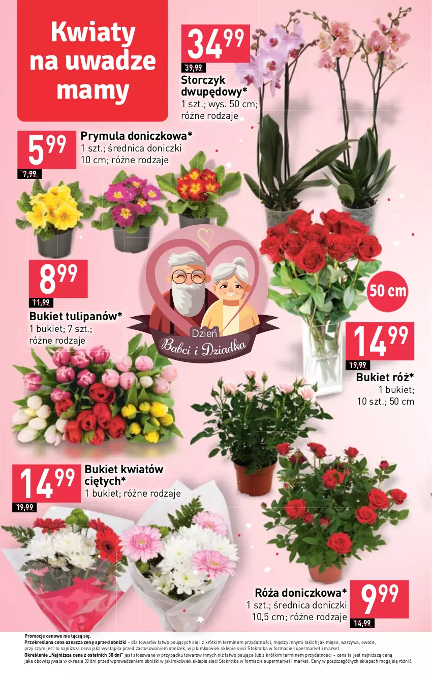 Gazetka promocyjna Stokrotka - Market - ważna 18.01 do 24.01.2024 - strona 8 - produkty: Bukiet, Mięso, Owoce, Prymula, Róża, Storczyk, Tulipan, Warzywa