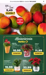 Gazetka promocyjna Netto - Artykuły spożywcze - Gazetka - ważna od 18.12 do 18.12.2022 - strona 5 - produkty: Szlumbergera, Gwiazda, Mango