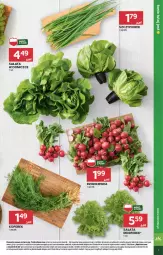 Gazetka promocyjna Stokrotka - Supermarket - Gazetka - ważna od 26.06 do 26.06.2024 - strona 7 - produkty: Warzywa, Sałat, Owoce, Renifer, Rzodkiewka, Mięso