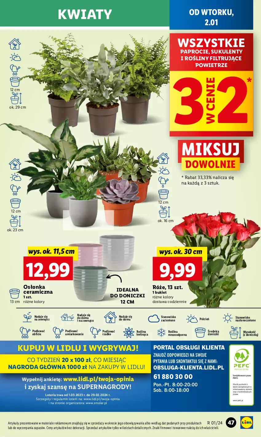 Gazetka promocyjna Lidl - GAZETKA - ważna 02.01 do 03.01.2024 - strona 49 - produkty: Bukiet, Cień, Gry, Mola, O nas, Osłonka, Por, Sok, Sukulent