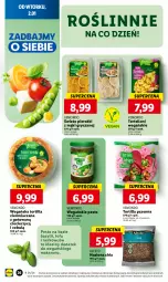 Gazetka promocyjna Lidl - GAZETKA - Gazetka - ważna od 03.01 do 03.01.2024 - strona 28 - produkty: Tortelloni, Makaron, Gry, Chia, Tortilla, Tofu, Pesto, Buraki, Bazyl