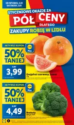 Gazetka promocyjna Lidl - GAZETKA - Gazetka - ważna od 03.01 do 03.01.2024 - strona 4 - produkty: Gra, Brokuły, Olej, Grejpfrut