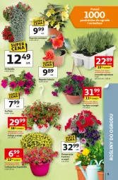 Gazetka promocyjna Auchan - Gazetka 30 Lat Hipermarket Auchan - Gazetka - ważna od 06.05 do 06.05.2026 - strona 5 - produkty: Surf