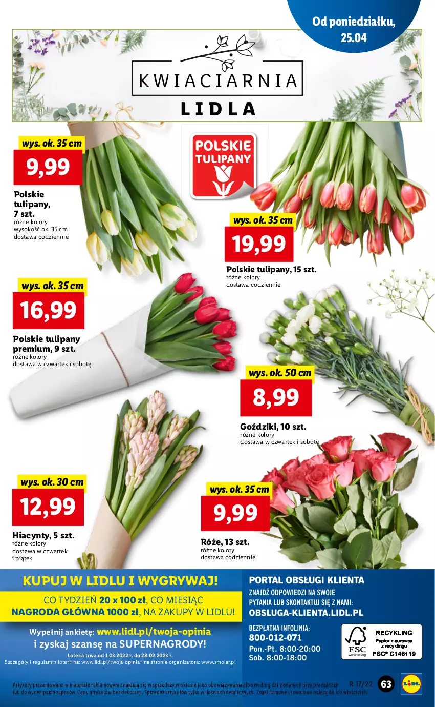 Gazetka promocyjna Lidl - GAZETKA - ważna 25.04 do 27.04.2022 - strona 63 - produkty: Gry, Hiacynt, Mola, Sok, Tulipan