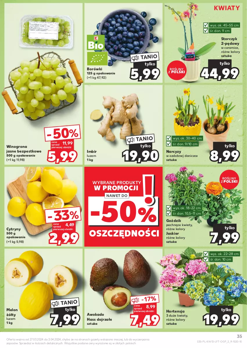 Gazetka promocyjna Kaufland - Gazetka tygodnia - ważna 27.03 do 03.04.2024 - strona 35 - produkty: Cytryny, Imbir, Melon, Narcyz, Storczyk, Wino, Winogrona