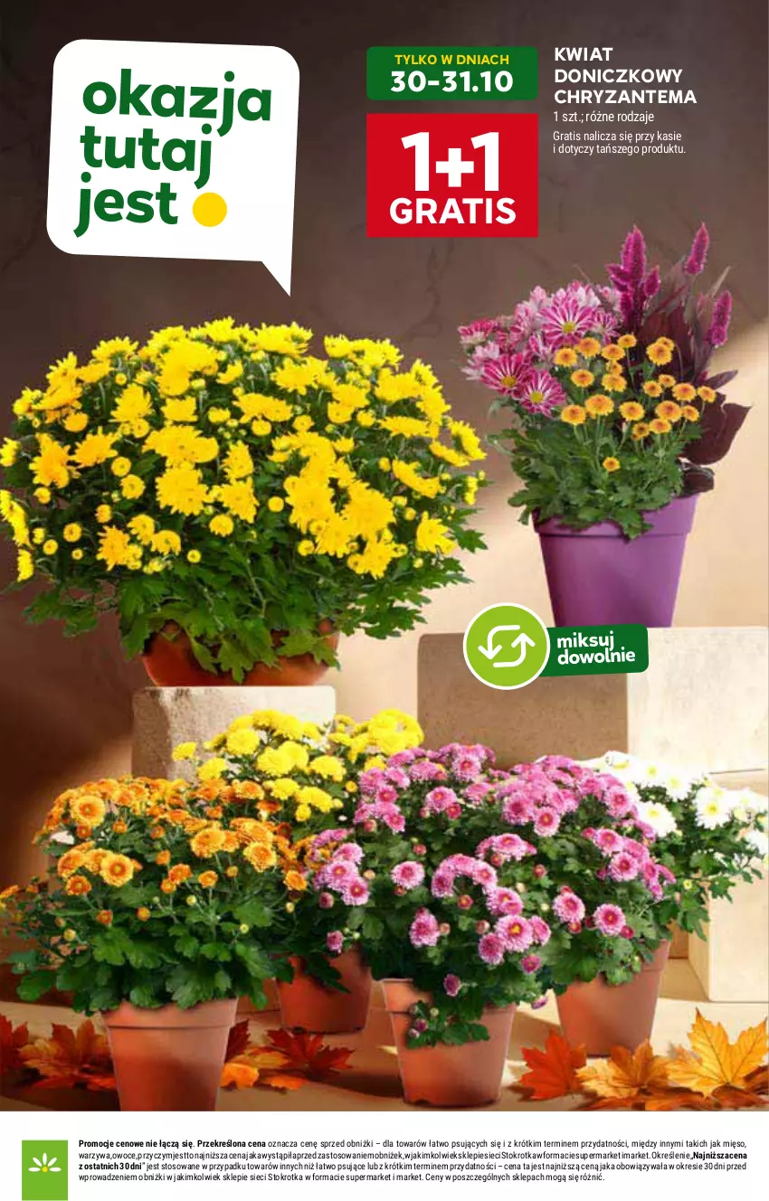 Gazetka promocyjna Stokrotka - Supermarket - ważna 30.10 do 05.11.2025 - strona 6 - produkty: Chryzantema, Gra, Mięso, Owoce, Warzywa