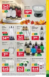 Gazetka promocyjna Stokrotka - Supermarket - Gazetka - ważna od 05.11 do 05.11.2025 - strona 33 - produkty: Warzywa, Gra, Znicz, Owoce, Olej, Mięso, Wkład olejowy