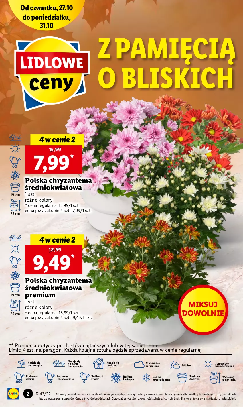 Gazetka promocyjna Lidl - GAZETKA - ważna 27.10 do 31.10.2022 - strona 2 - produkty: Chryzantema, Cień, O nas, Olej, Por, Sok