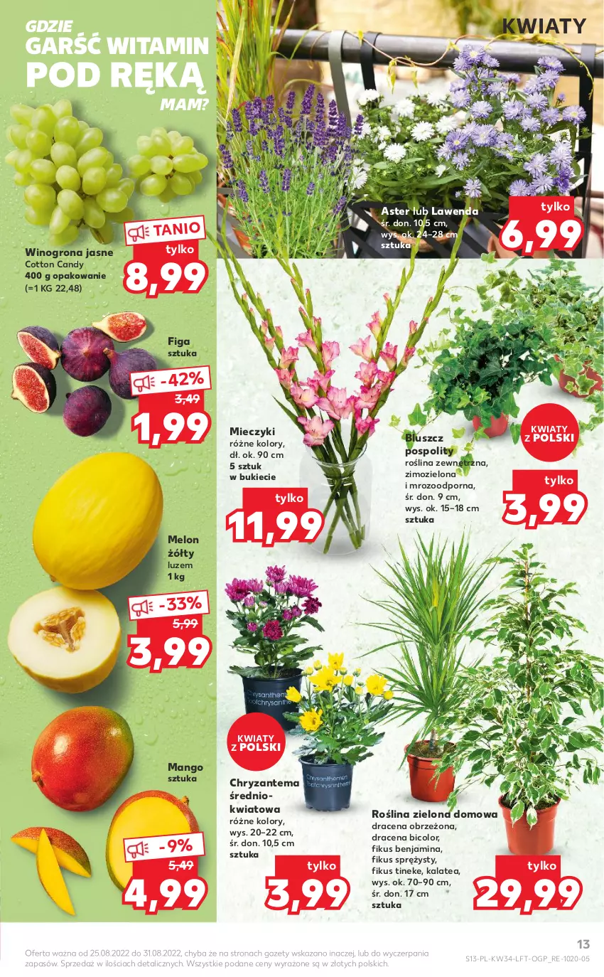 Gazetka promocyjna Kaufland - OFERTA TYGODNIA - ważna 25.08 do 31.08.2022 - strona 13 - produkty: BIC, Candy, Chryzantema, Mango, Melon, Miecz, Por, Wino, Winogrona