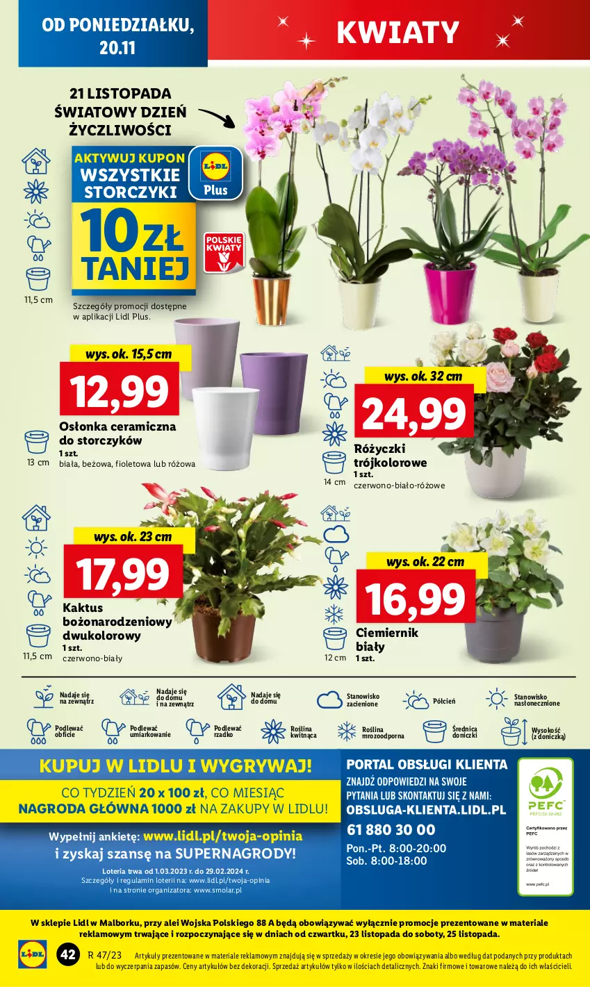 Gazetka promocyjna Lidl - GAZETKA - ważna 20.11 do 22.11.2023 - strona 52 - produkty: Cień, Gry, Kaktus, Mola, O nas, Osłonka, Por, Sok, Storczyk, Top