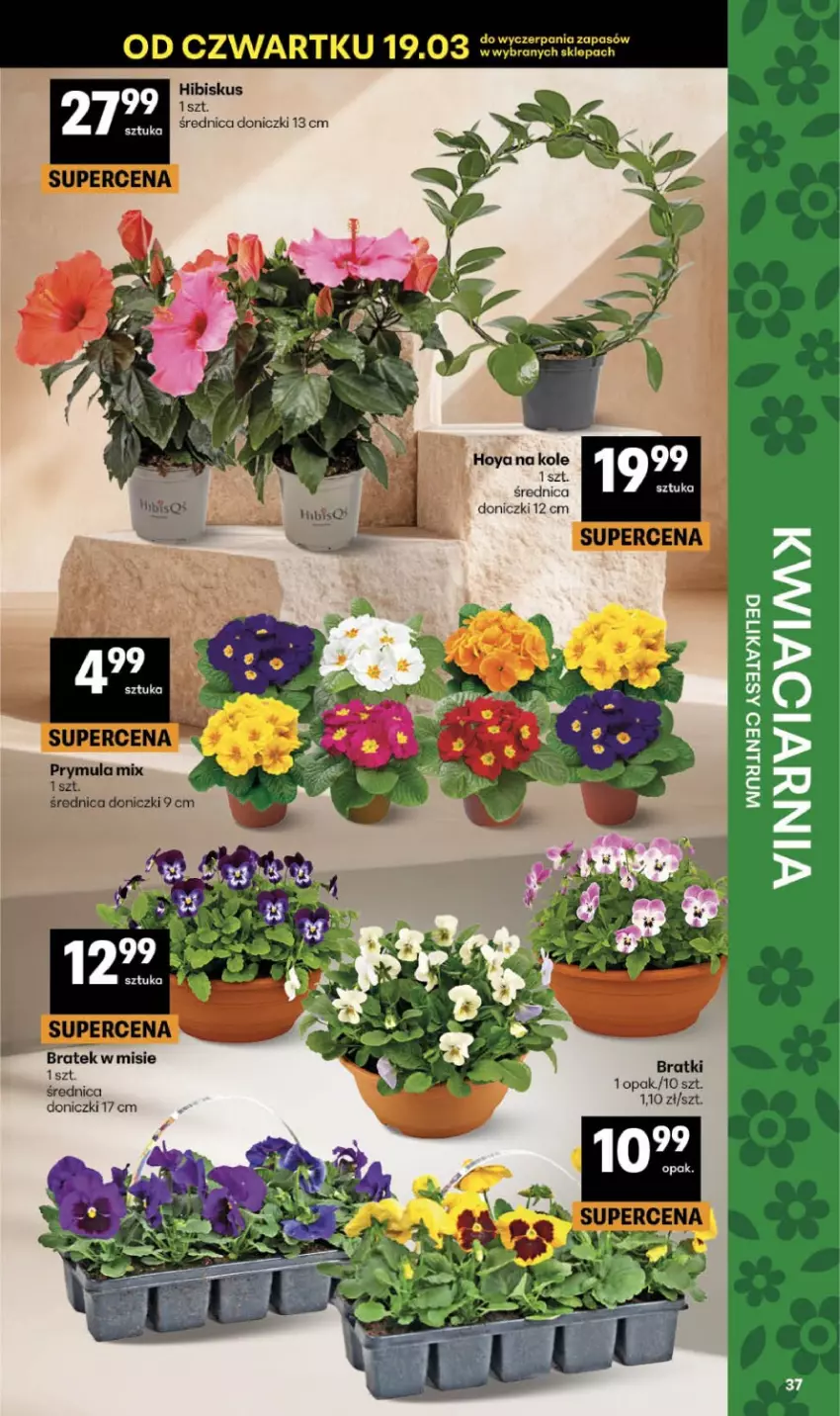 Gazetka promocyjna Delikatesy Centrum - Franczyza DC12 Czwartek - ważna 19.03 do 25.03.2026 - strona 37