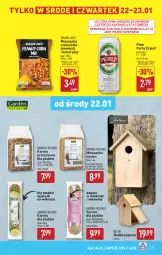 Gazetka promocyjna Aldi - Pełna oferta - Gazetka - ważna od 26.01 do 26.01.2025 - strona 21 - produkty: Piwa, Piwo, Por, Gra, Perła