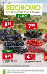 Gazetka promocyjna Stokrotka - Supermarket - Gazetka - ważna od 29.07 do 29.07.2026 - strona 16 - produkty: Porzeczki czarne, Warzywa, Por, Jeżyny, Porzeczki czerwone, Optima, Owoce, Mięso