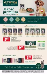 Gazetka promocyjna Stokrotka - Supermarket - Gazetka - ważna od 29.07 do 29.07.2026 - strona 43 - produkty: Warzywa, Optima, Baton, Owoce, Mięso