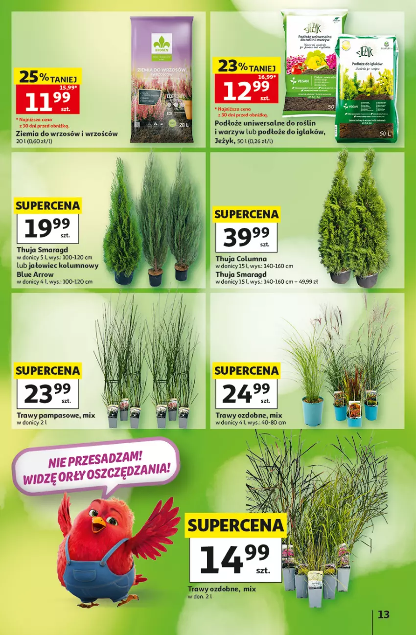 Gazetka promocyjna Auchan - Gazetka 30 Lat Hipermarket Auchan - ważna 03.09 do 09.09.2026 - strona 13