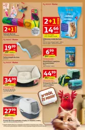 Gazetka promocyjna Auchan - Gazetka 30 Lat Hipermarket Auchan - Gazetka - ważna od 18.02 do 18.02.2026 - strona 13 - produkty: Por, Gra, Tran, Sport, Kuweta, Drapak, Fa