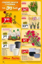 Gazetka promocyjna Auchan - Gazetka 30 Lat Hipermarket Auchan - Gazetka - ważna od 18.02 do 18.02.2026 - strona 38 - produkty: Mus, Biohumus, Tulipan, Róża, Bukiet