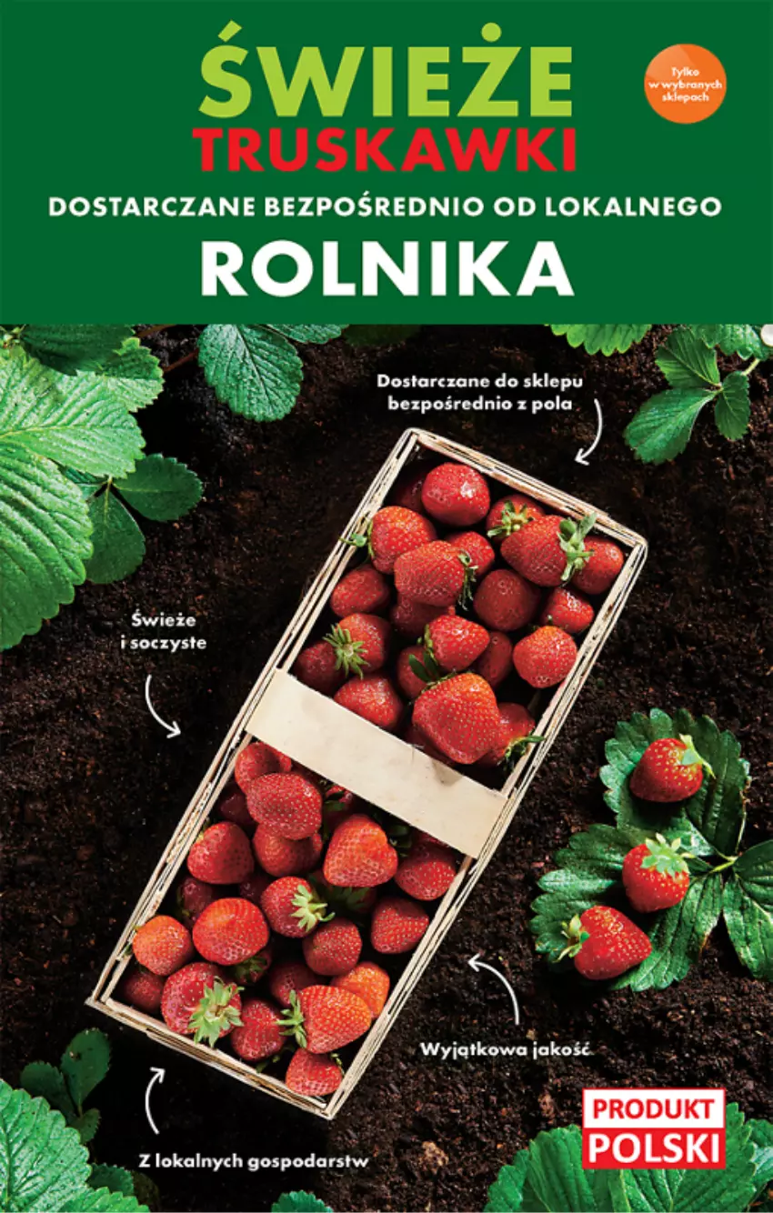 Gazetka promocyjna Biedronka - ważna 17.06 do 22.06.2022 - strona 13 - produkty: Rolnik, Truskawki