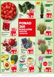 Gazetka promocyjna Kaufland - Kaufland - Gazetka - ważna od 16.10 do 16.10.2024 - strona 11 - produkty: Kurczak, Sałatka, Gra, Granat, Sałat, Storczyk, Grunt, Pomidory