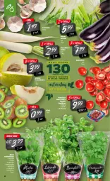 Gazetka promocyjna Netto - Oferta tygodnia - Gazetka - ważna od 27.02 do 27.02.2021 - strona 4 - produkty: Pietruszka, Kolendra, Zioła w doniczce, Czosnek, Kiwi, Koper włoski, Bazyl, Bazylia, Melon, Mięta