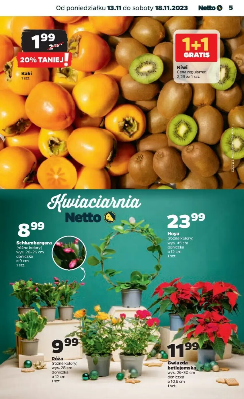 Gazetka promocyjna Netto - ważna 13.11 do 18.11.2023 - strona 21 - produkty: Kiwi