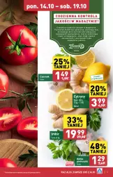 Gazetka promocyjna Aldi - Farmer ALDIK poleca świeże owoce i warzywa - Gazetka - ważna od 19.10 do 19.10.2024 - strona 5 - produkty: Czosnek, Cytryny, Natka pietruszki, Imbir