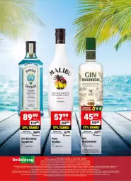 Gazetka promocyjna Delikatesy Centrum - Delibarek DC34-DC35 - Gazetka - ważna od 03.09 do 03.09.2025 - strona 25 - produkty: Rum, Gin, Dron, Malibu