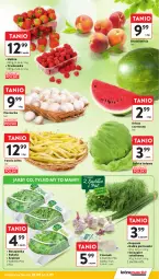 Gazetka promocyjna Intermarche - Gazetka Intermarche - Gazetka - ważna od 03.09 do 03.09.2025 - strona 17 - produkty: Piec, Roszponka, Sałata lodowa, Czosnek, Rukola, Siatka, Sałat, Fasola, Pieczarka, Natka pietruszki, Arbuz, Szpinak, Fa