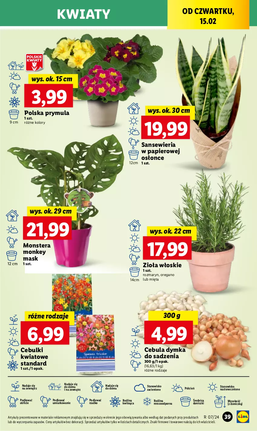 Gazetka promocyjna Lidl - GAZETKA - ważna 15.02 do 17.02.2024 - strona 45 - produkty: Cebula, Cień, Mięta, O nas, Papier, Por, Prymula, Sok, Tera