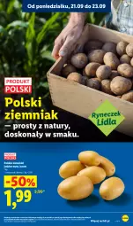 Gazetka promocyjna Lidl - Gazetka ważna od 21.09. do 23.09 - Gazetka - ważna od 23.09 do 23.09.2026 - strona 23 - produkty: Ziemniaki
