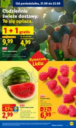 Gazetka promocyjna Lidl - Gazetka ważna od 21.09. do 23.09 - Gazetka - ważna od 23.09 do 23.09.2026 - strona 33 - produkty: Gra, Maliny, Arbuz