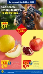 Gazetka promocyjna Lidl - Gazetka ważna od 21.09. do 23.09 - Gazetka - ważna od 23.09 do 23.09.2026 - strona 36 - produkty: Gra, Granat, Winogrona, Wino, Melon