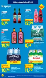 Gazetka promocyjna Lidl - Gazetka ważna od 21.09. do 23.09 - Gazetka - ważna od 23.09 do 23.09.2026 - strona 76 - produkty: Kurkuma, Sok, Mus, Napoje, LANA, Muszynianka, Syrop, Woda mineralna, Woda niegazowana, Woda, Herbapol, Magnez, Imbir