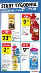 Gazetka promocyjna Intermarche - Gazetka Intermarche - Gazetka - ważna od 29.01 do 29.01.2025 - strona 35 - produkty: Ketchup, Kawa rozpuszczalna, Dallmayr, Kawa, Płyn do płukania, Oshee, Pudliszki, Napój niegazowany, Napój, Melon, Magnez