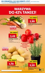 Gazetka promocyjna Lidl - GAZETKA OD 25.11 DO 28.11 - Gazetka - ważna od 28.11 do 28.11.2021 - strona 11 - produkty: Warzywa, Por, Włoszczyzna pęczek, Ziemniaki, Pomidory