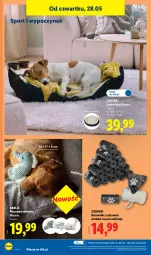 Gazetka promocyjna Lidl - Katalog ważny od 25.05 - Gazetka - ważna od 30.05 do 30.05.2026 - strona 34 - produkty: Por, Zabawka, LEGO, Sport, Dozownik, Legowisko, Fa