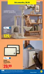 Gazetka promocyjna Lidl - Katalog ważny od 25.05 - Gazetka - ważna od 30.05 do 30.05.2026 - strona 35 - produkty: Sok, Drapak, Fa