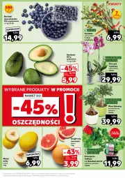 Gazetka promocyjna Kaufland - Kaufland - Gazetka - ważna od 08.05 do 08.05.2024 - strona 11 - produkty: Gin, Storczyk, Astrid, Melon, Grejpfrut